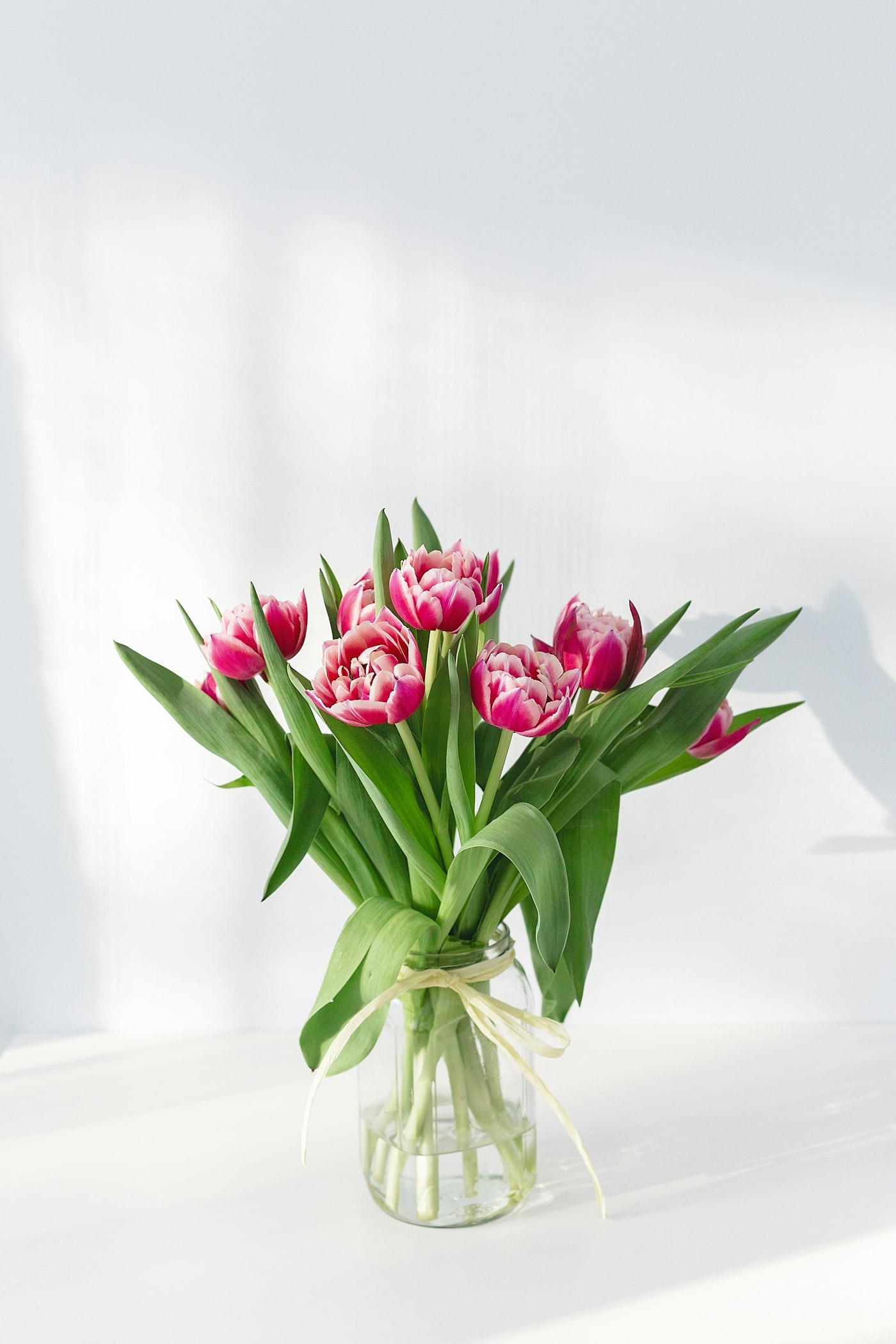 Planten & seizoen